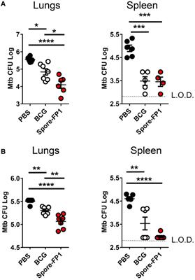 Mucosal Delivery of Fusion Proteins with Bacillus subtilis Spores Enhances Protection against Tuberculosis by Bacillus Calmette-Guérin